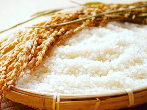 福島県産米の卸売・小売イメージ